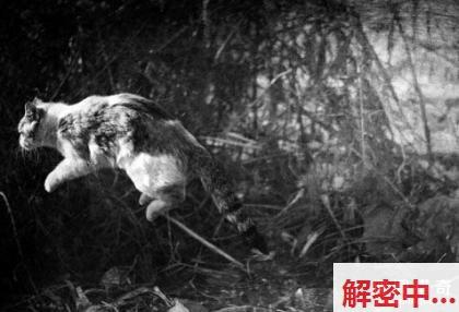 女老板办公室相互学习穿吸引人的衣服OL女下属 磨豆腐湿吻手80后女人的东西 小听话的人被脱光玩到下面到达快乐