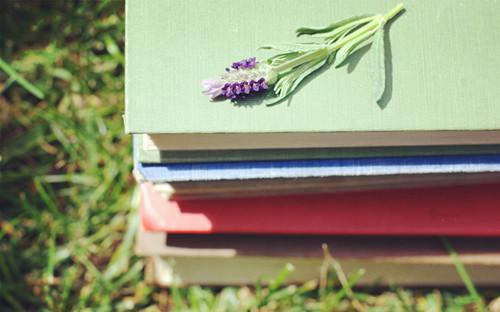 2605250045351961.jpg