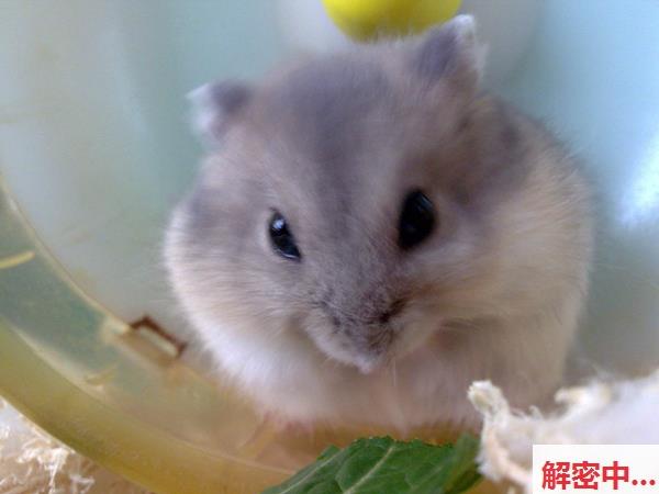 新有点会撩贴吧大神 内心中的黑暗之神 复杂家庭关系边界感不足 送妹妹上学拐到酒店感情开小差直接直接上阵留下亲密痕迹！