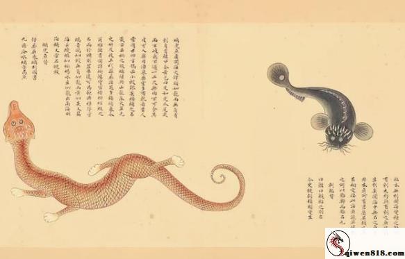 2606151230544351.jpg