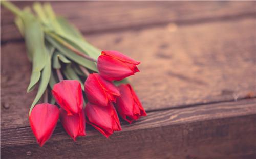 传闻茶水间反差感选手发福利 口巾sang 被反差感选手单男压住 成为下方位置忠诚小跟班