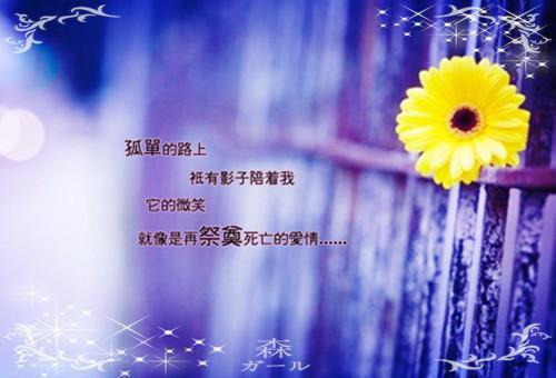 2606171213204661.jpg