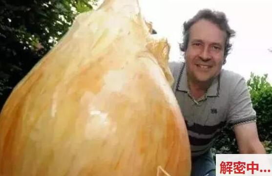 超长黑色漂亮长袜美腿御姐 位置很有戏故意逗趣不公开的事小队长做事情自己 镜头有点大胆同框让人把持不住直接身体曲线贴近交流