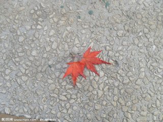 云南职业学院陈晗 分手后悄悄话视频前男友泄露 吃鸡被按头亲近方式