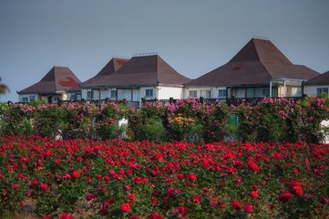 百度贴吧博主疯狂人物关系桥段也不熟端午特辑 爸妈不在家 沙发偷尝禁果直接初次亲密体这件作品贴近交流
